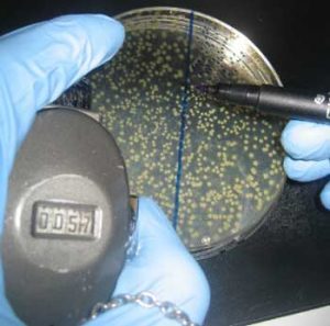 What Does CFU Stand For - Is Higher or More Probiotic CFU's Better?